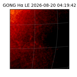 gong - 2026-08-20T04:19:42