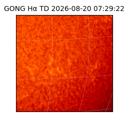 gong - 2026-08-20T07:29:22