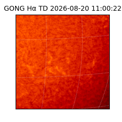 gong - 2026-08-20T11:00:22