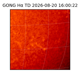 gong - 2026-08-20T16:00:22