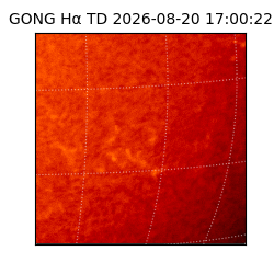 gong - 2026-08-20T17:00:22