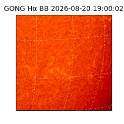gong - 2026-08-20T19:00:02