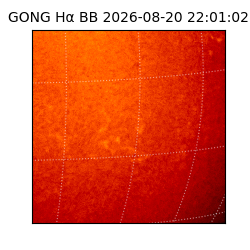 gong - 2026-08-20T22:01:02