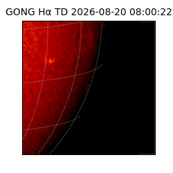 gong - 2026-08-20T08:00:22