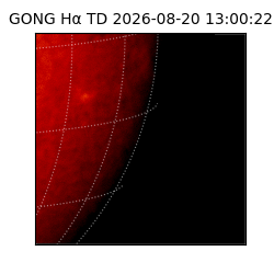 gong - 2026-08-20T13:00:22