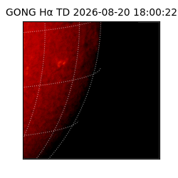gong - 2026-08-20T18:00:22