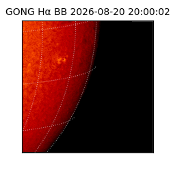 gong - 2026-08-20T20:00:02