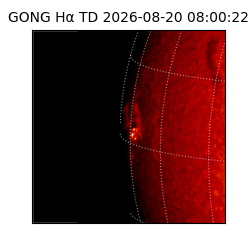 gong - 2026-08-20T08:00:22