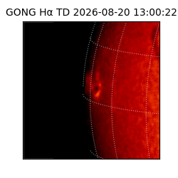 gong - 2026-08-20T13:00:22