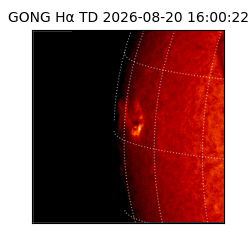 gong - 2026-08-20T16:00:22