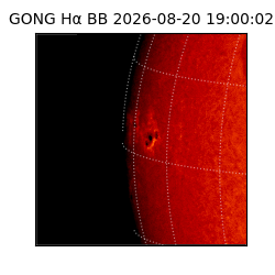 gong - 2026-08-20T19:00:02
