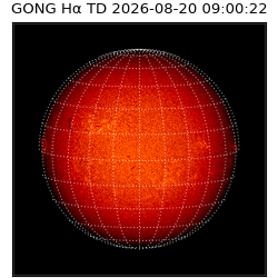 gong - 2026-08-20T09:00:22