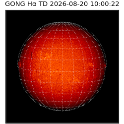 gong - 2026-08-20T10:00:22