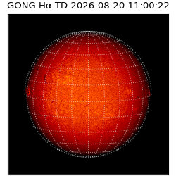 gong - 2026-08-20T11:00:22