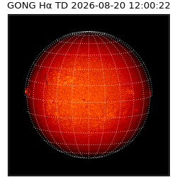 gong - 2026-08-20T12:00:22
