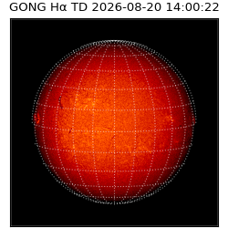 gong - 2026-08-20T14:00:22