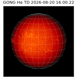 gong - 2026-08-20T16:00:22