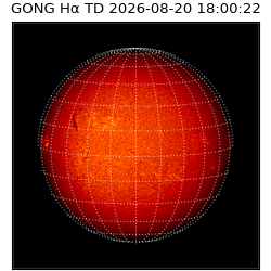 gong - 2026-08-20T18:00:22
