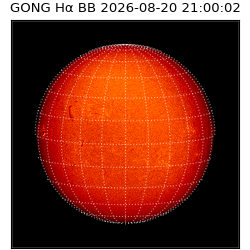 gong - 2026-08-20T21:00:02