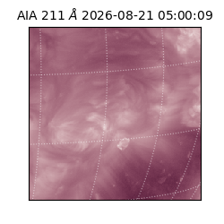 saia - 2026-08-21T05:00:09.624000