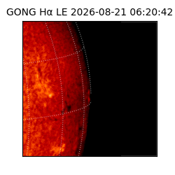 gong - 2026-08-21T06:20:42