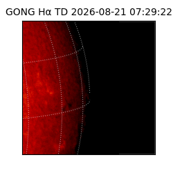 gong - 2026-08-21T07:29:22