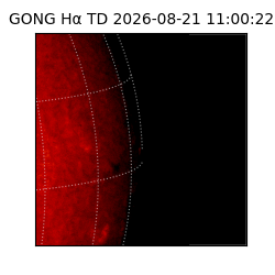 gong - 2026-08-21T11:00:22