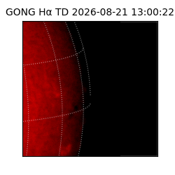 gong - 2026-08-21T13:00:22