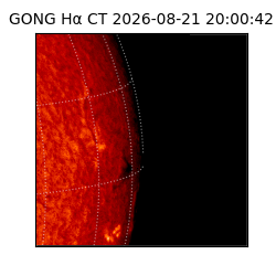 gong - 2026-08-21T20:00:42