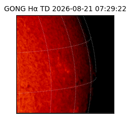 gong - 2026-08-21T07:29:22