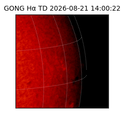 gong - 2026-08-21T14:00:22