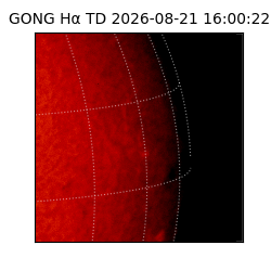 gong - 2026-08-21T16:00:22