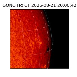 gong - 2026-08-21T20:00:42