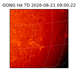 gong - 2026-08-21T09:00:22