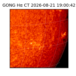 gong - 2026-08-21T19:00:42