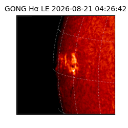 gong - 2026-08-21T04:26:42