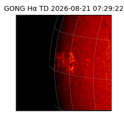 gong - 2026-08-21T07:29:22