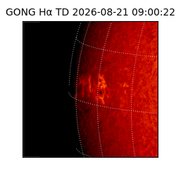 gong - 2026-08-21T09:00:22