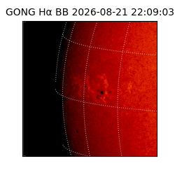 gong - 2026-08-21T22:09:03