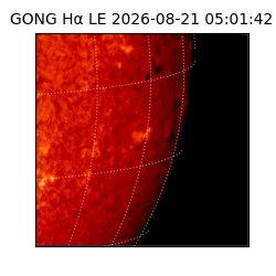 gong - 2026-08-21T05:01:42