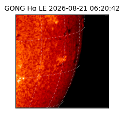 gong - 2026-08-21T06:20:42