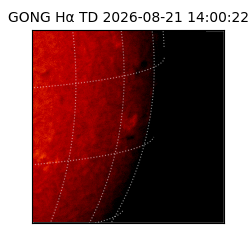 gong - 2026-08-21T14:00:22