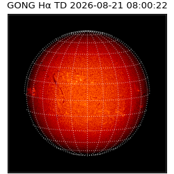 gong - 2026-08-21T08:00:22