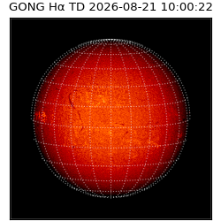 gong - 2026-08-21T10:00:22