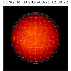 gong - 2026-08-21T12:00:22