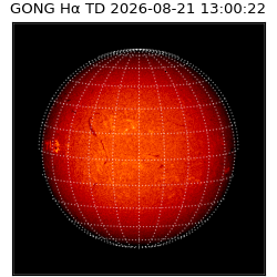 gong - 2026-08-21T13:00:22
