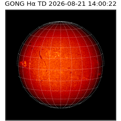 gong - 2026-08-21T14:00:22
