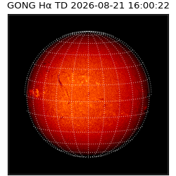 gong - 2026-08-21T16:00:22