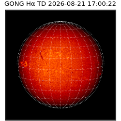 gong - 2026-08-21T17:00:22