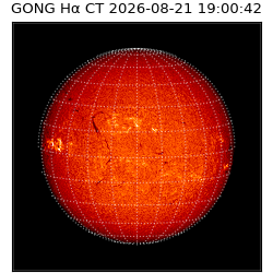 gong - 2026-08-21T19:00:42